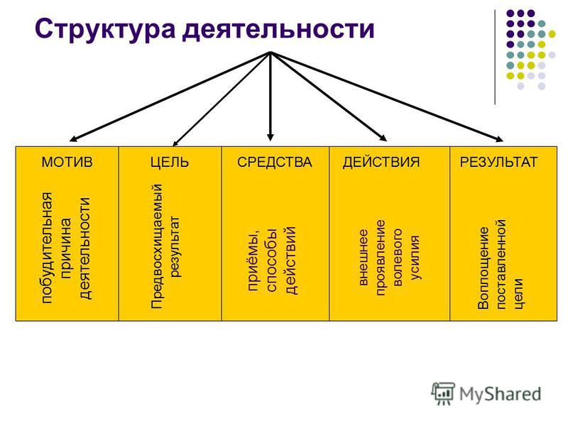 Схема деятельности человека обществознание 6 класс