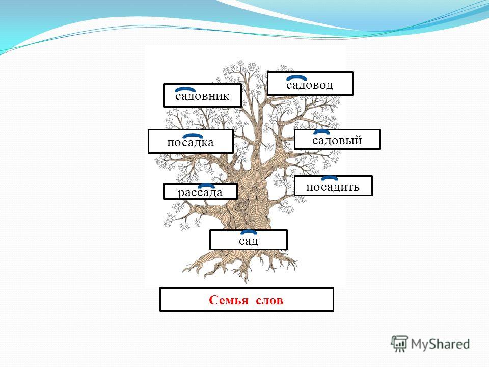 Дерево со словами. Семья слов. Проект семья слов. Дерево с однокоренными словами. Семья слов 3 класс.