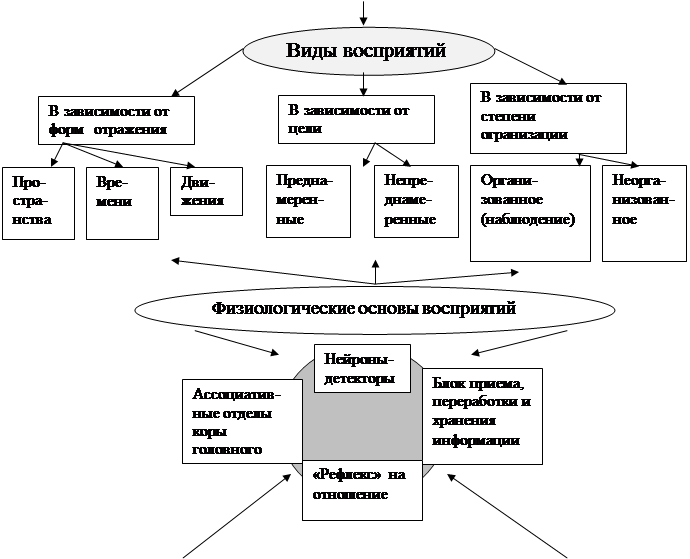 Классификация восприятия схема