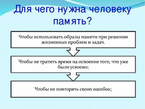 Недостаточное развитие внимания усидчивости памяти эмоциональная неустойчивость это в педагогике